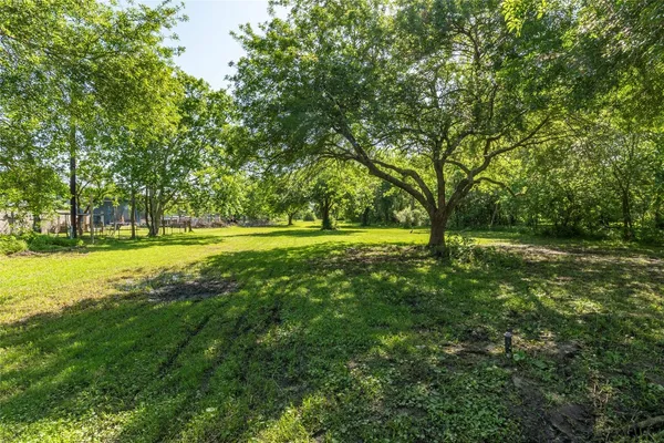 a view of a park with large trees
