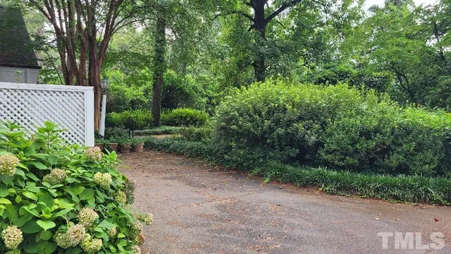 a view of a yard with plants and trees