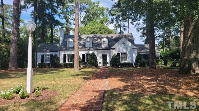 a view of a tree in a garden