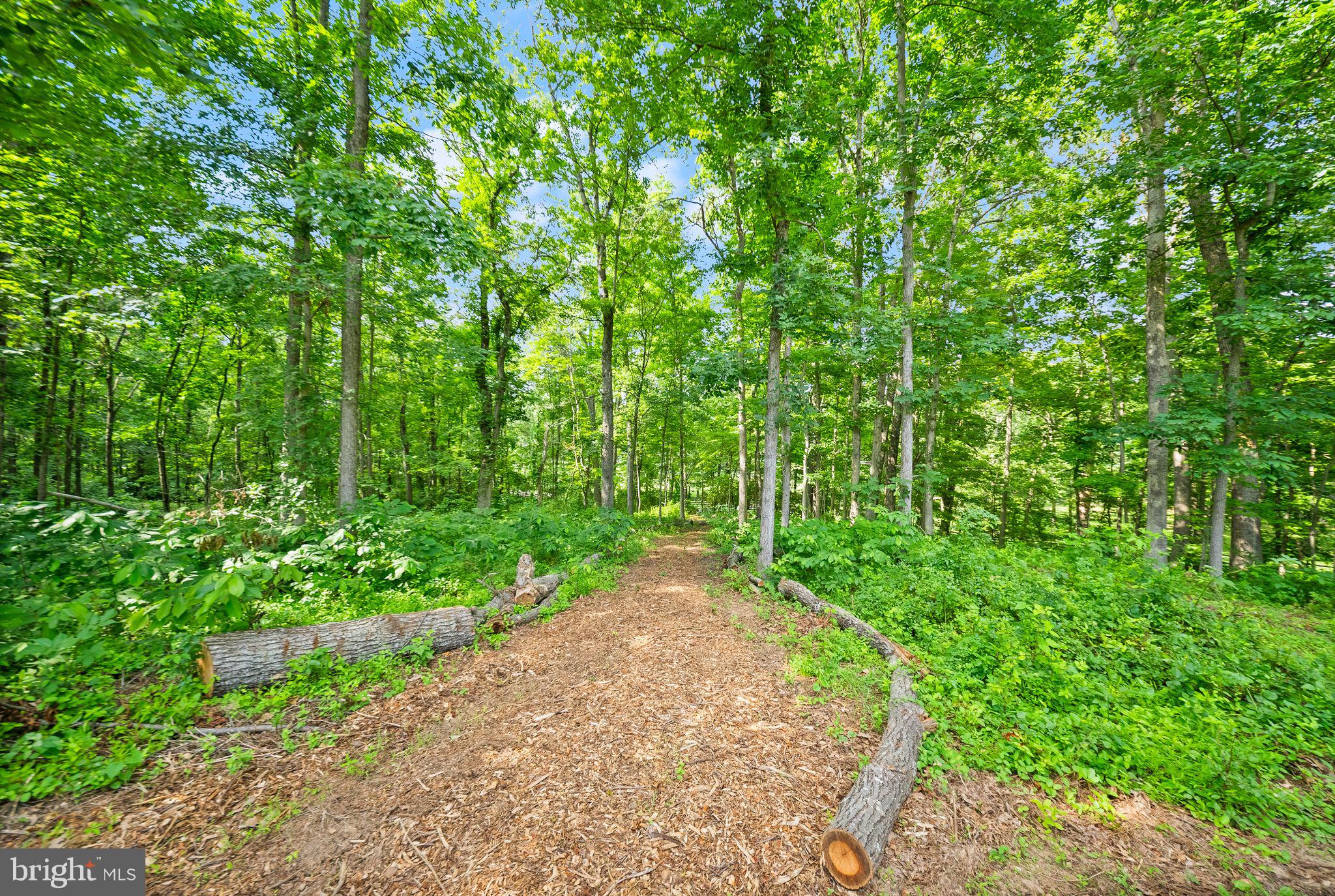 4020 Millwood Road Boyce, VA 22620 - Photo 101 of 132 Observe wildlife hiking or riding on the trails