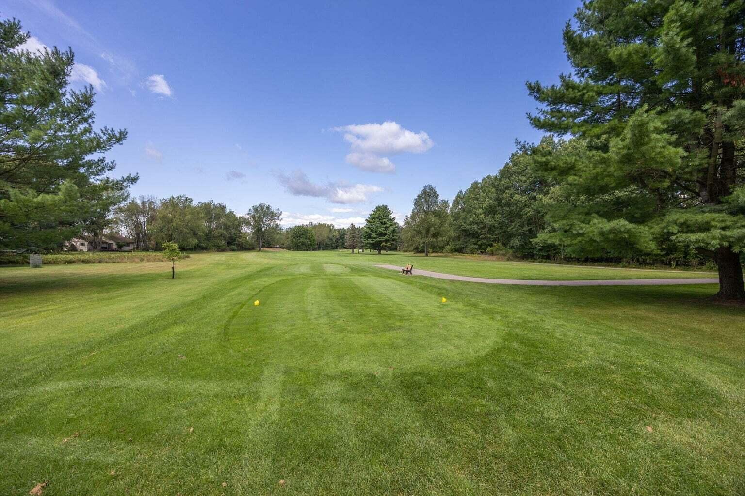 7333 River Ridge Road Canadian Lakes, MI 49346 - Photo 50 of 53 7333 photo 10