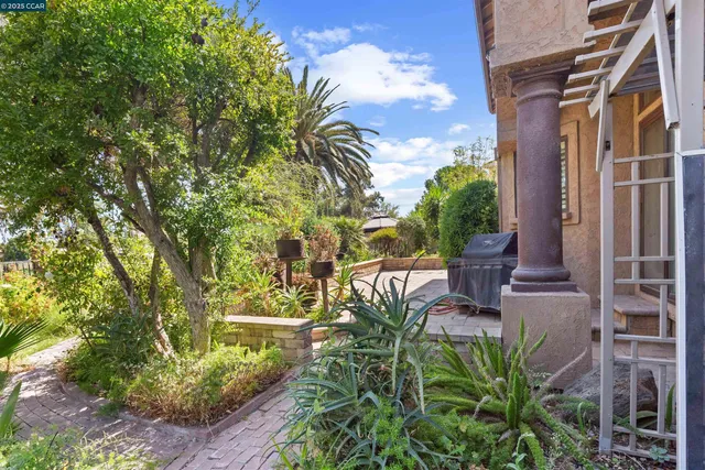 a plant that is in front of a house