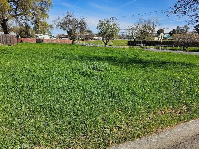 a view of field with trees in the background