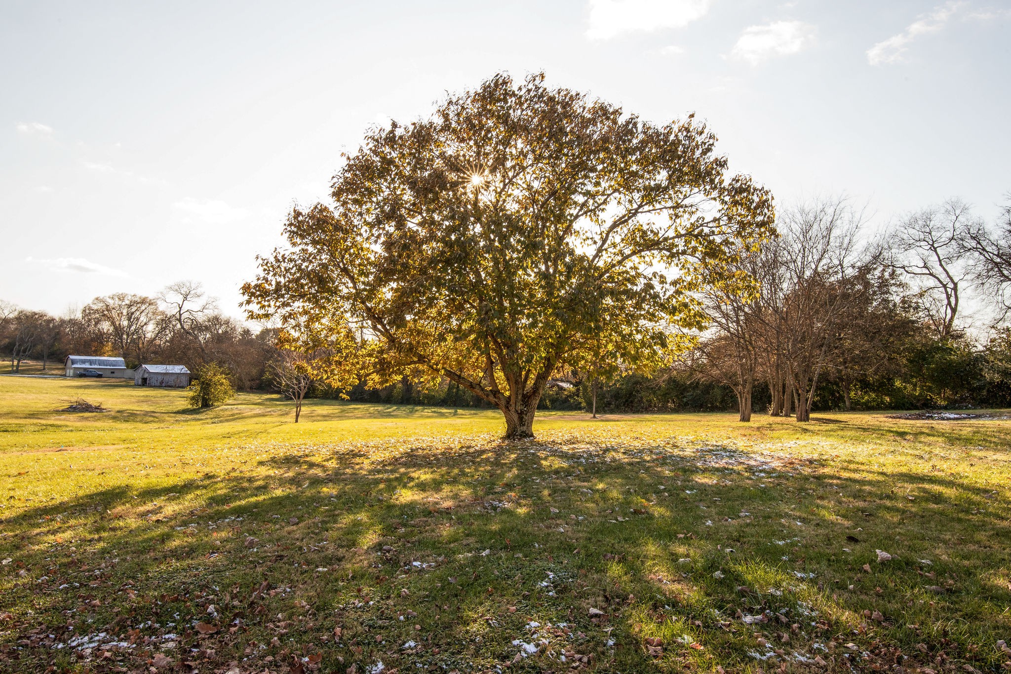 1020 Robertson Road Gallatin, TN 37066 - Photo 29 of 30 Gallery Image 29