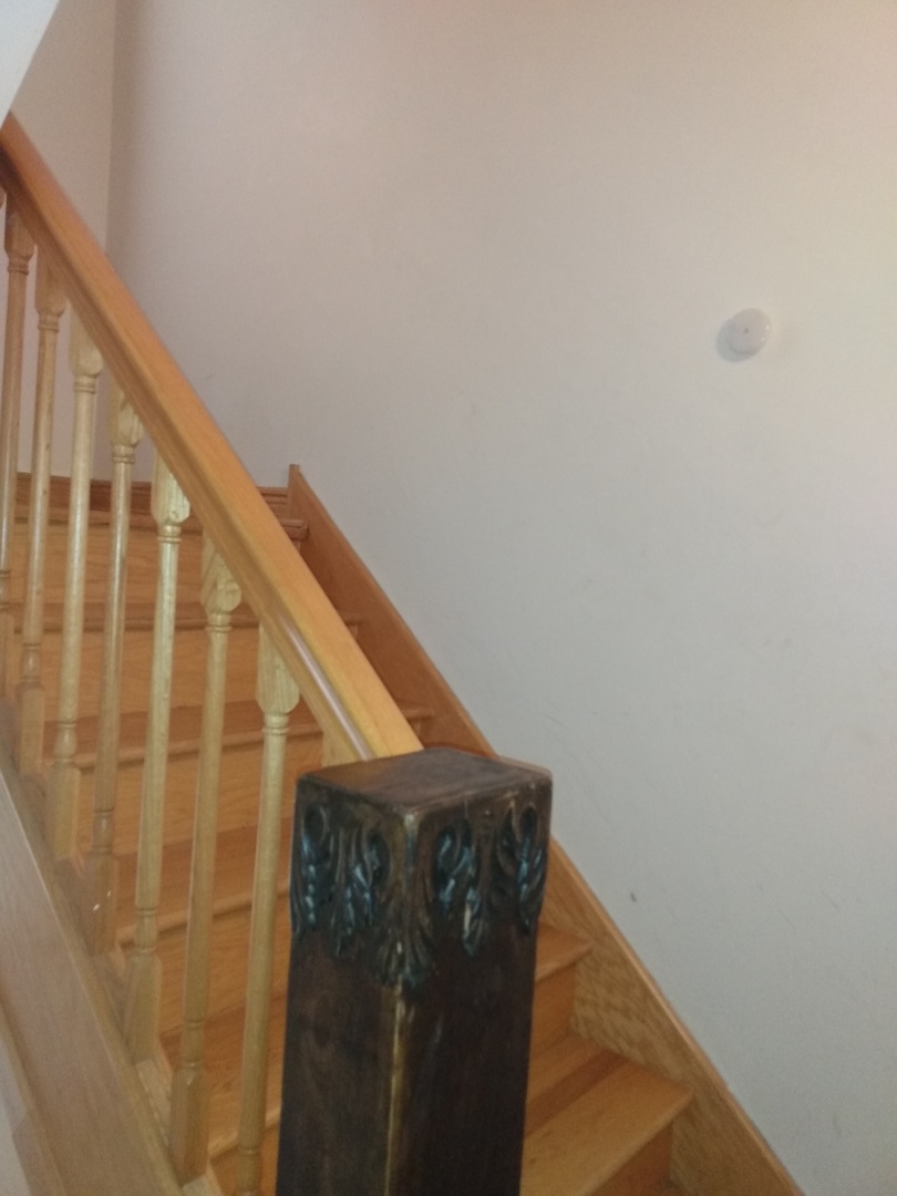 8015 South May Street Chicago, IL 60620 - Photo 11 of 23