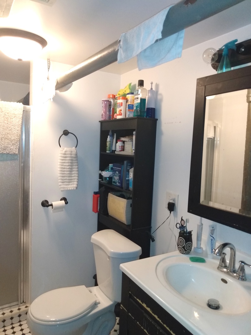 8015 South May Street Chicago, IL 60620 - Photo 19 of 23 a bathroom with a sink a toilet and shower curtain