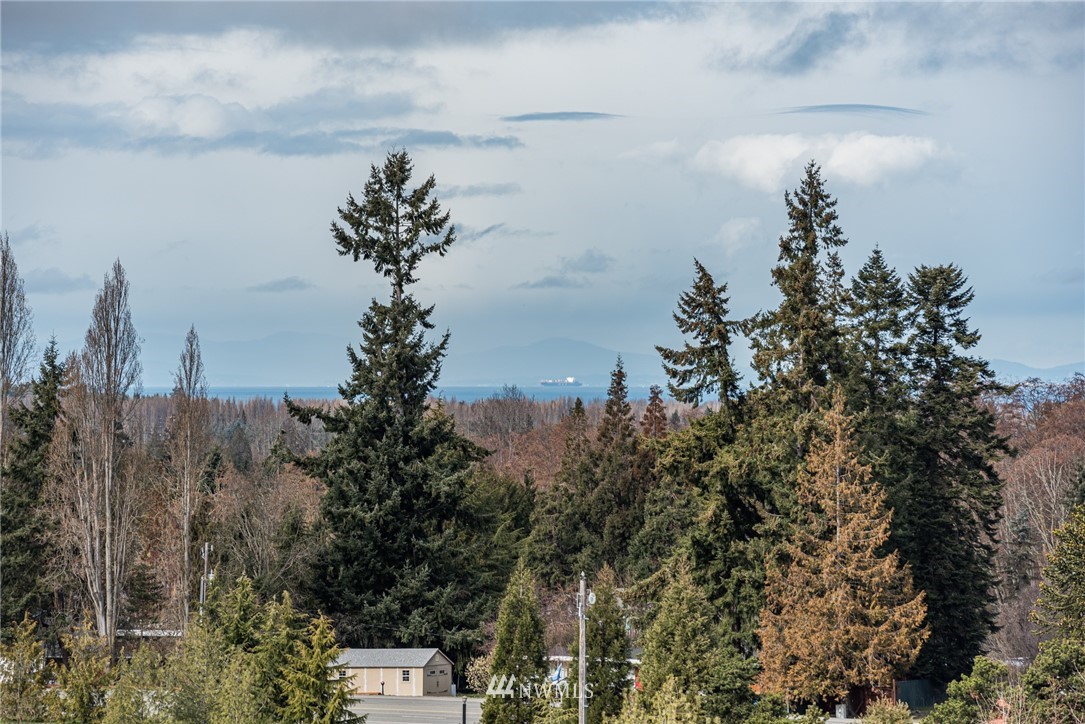 156 Le Roux Road Sequim, WA 98382 - Photo 40 of 40
