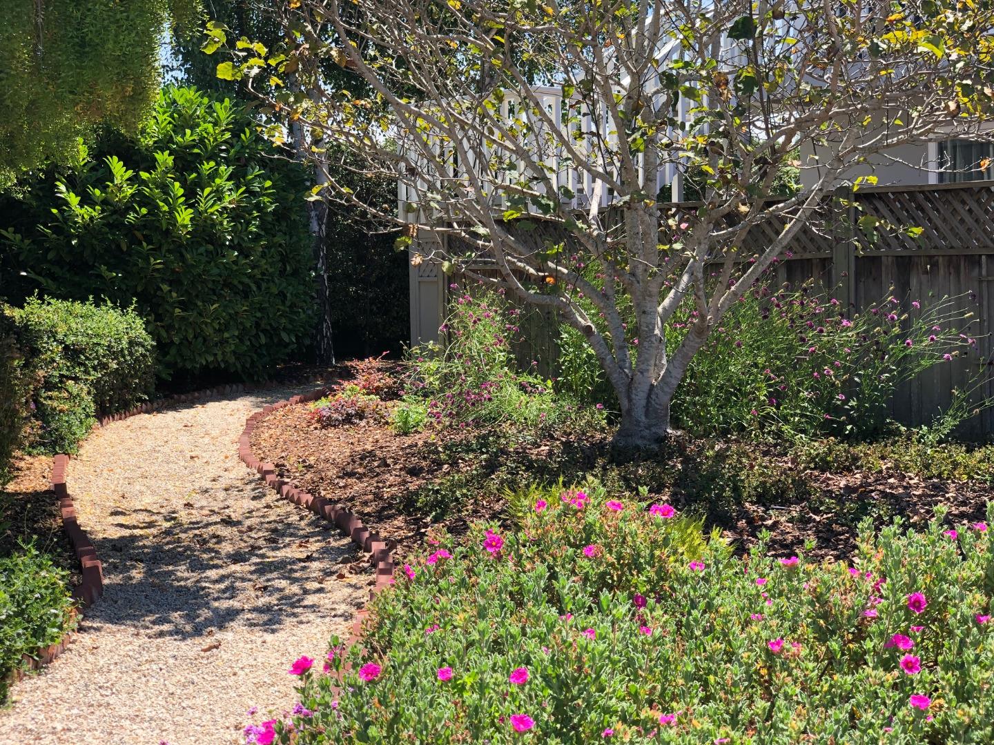 5098 Wilder Drive Soquel, CA 95073 - Photo 3 of 17 a view of a garden with flowers