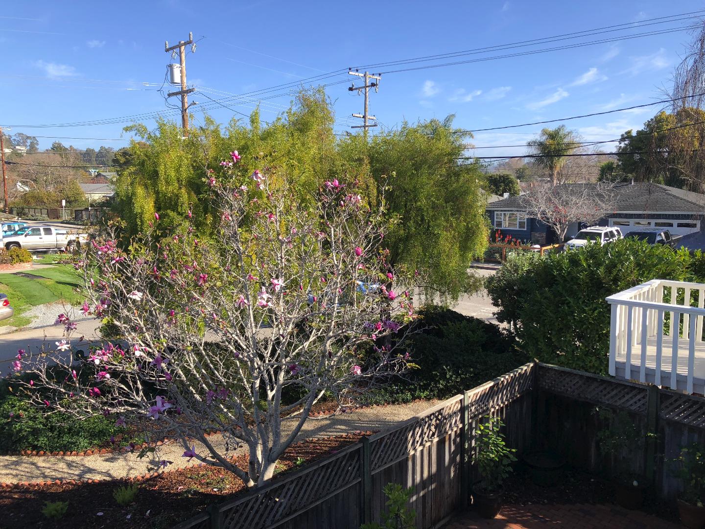5098 Wilder Drive Soquel, CA 95073 - Photo 6 of 17 a backyard of a house with lots of green space