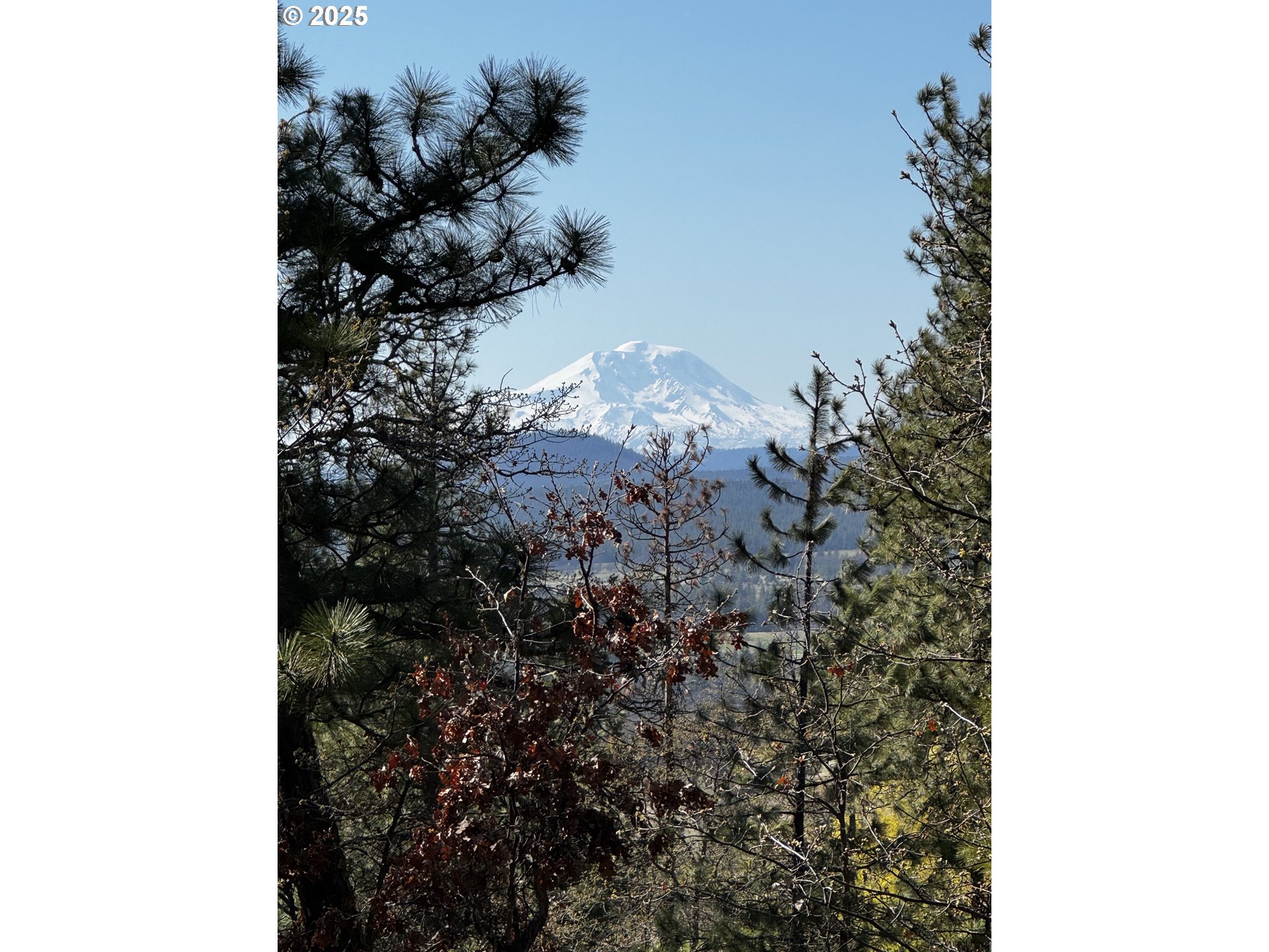 87 Adams Loop Road Goldendale, WA 98620 - Photo 6 of 35