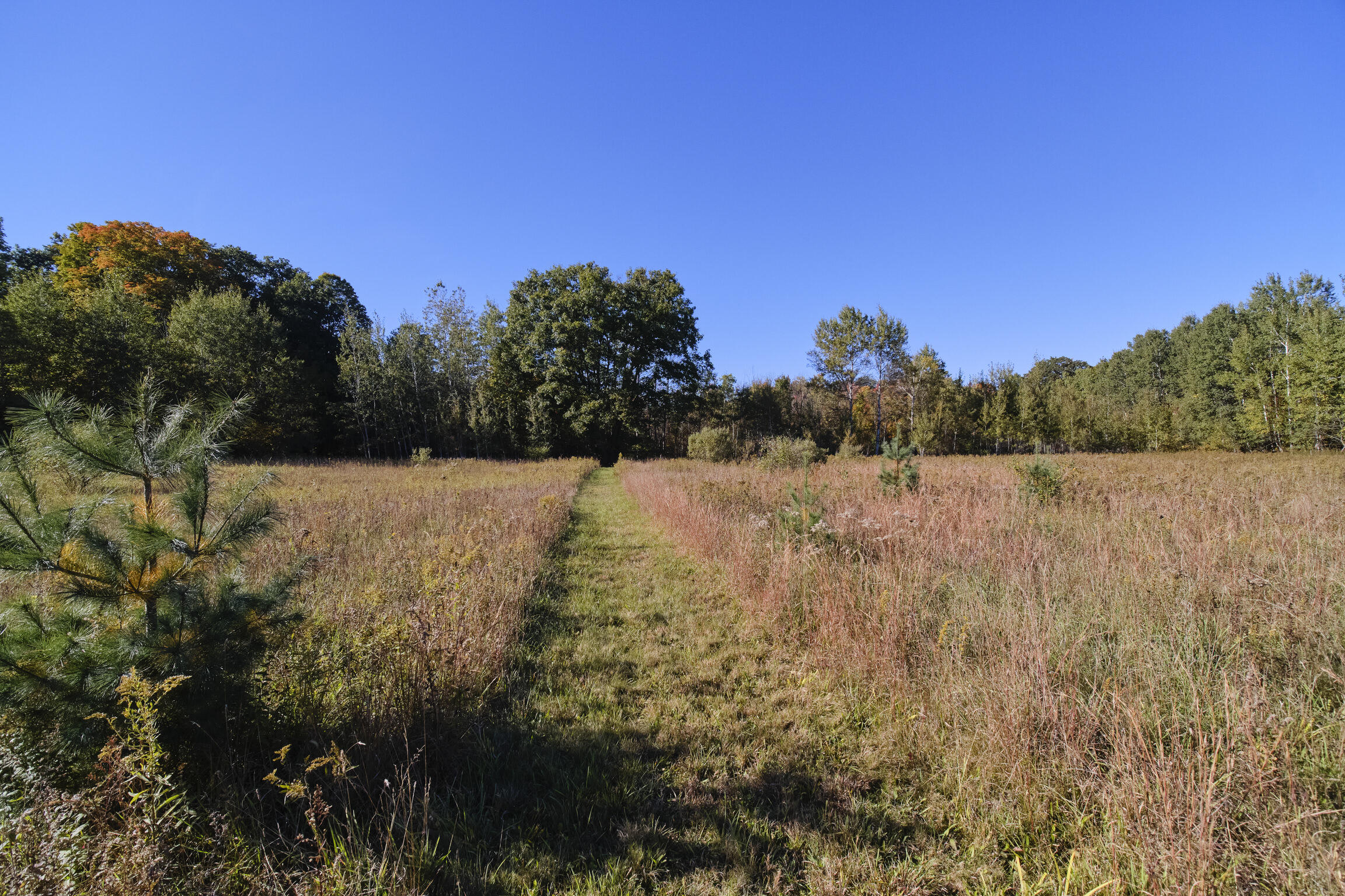 19360 McClish Road Copemish, MI 49625 - Photo 47 of 49 19360 McClish Rd