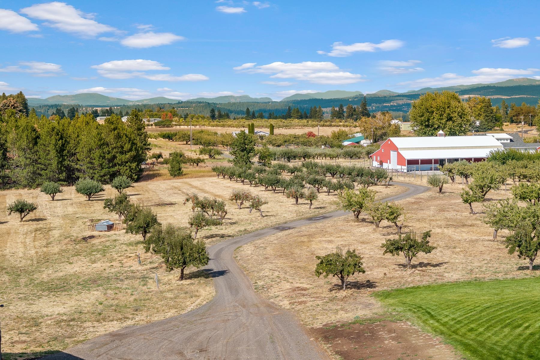 8808 East Green Bluff Road North Colbert, WA 99005 - Photo 43 of 50 Gallery Image 43