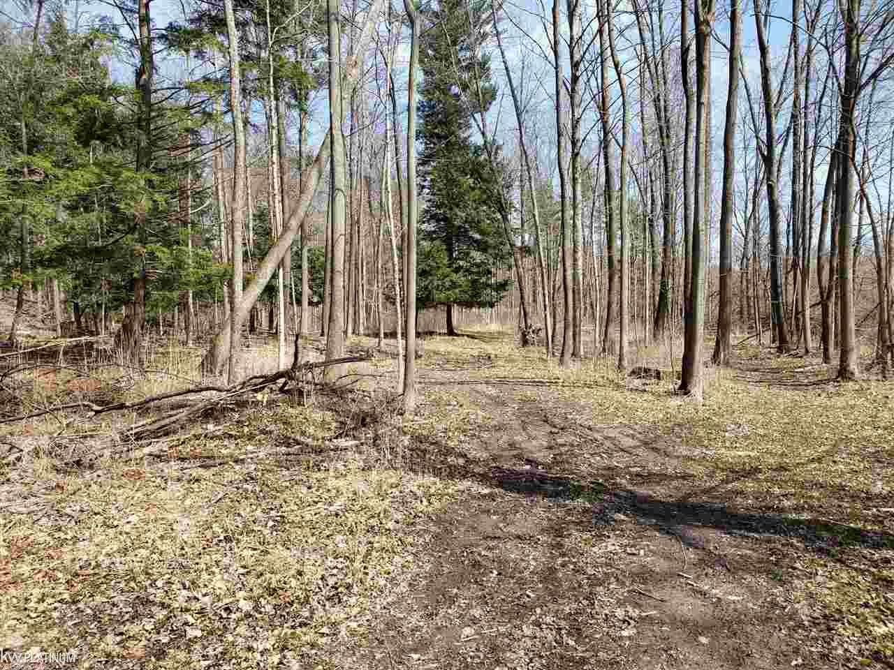 Vl Vl Brown Road, Unit CREEKS Avoca, MI 48006 - Photo 6 of 10