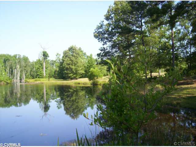 37-ac Loving Union Road Disputanta, VA 23842 - Photo 1 of 1 Exterior Front - Pond