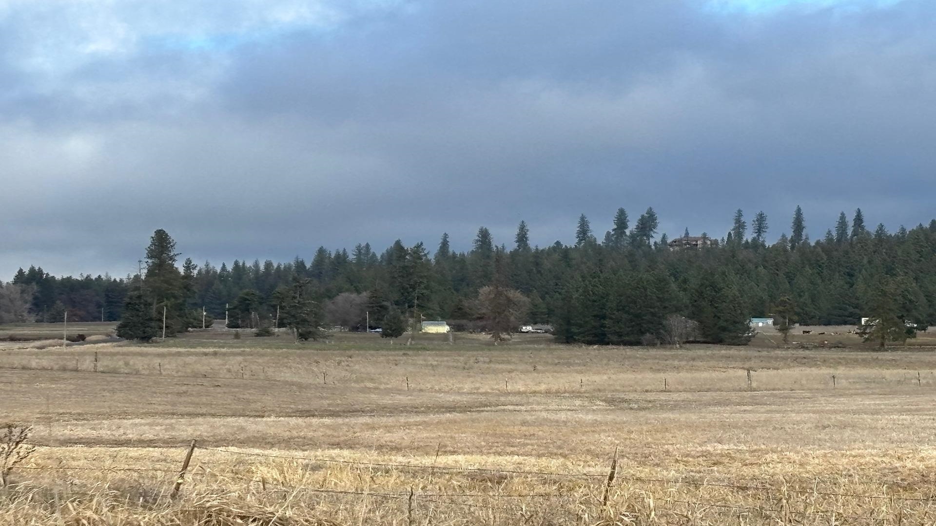 413-xx North Short Road Deer Park, WA 99006 - Photo 22 of 36