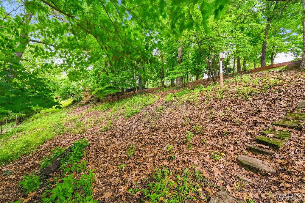 5063 Oak Bluff Drive High Ridge, MO 63049 - Photo 76 of 90