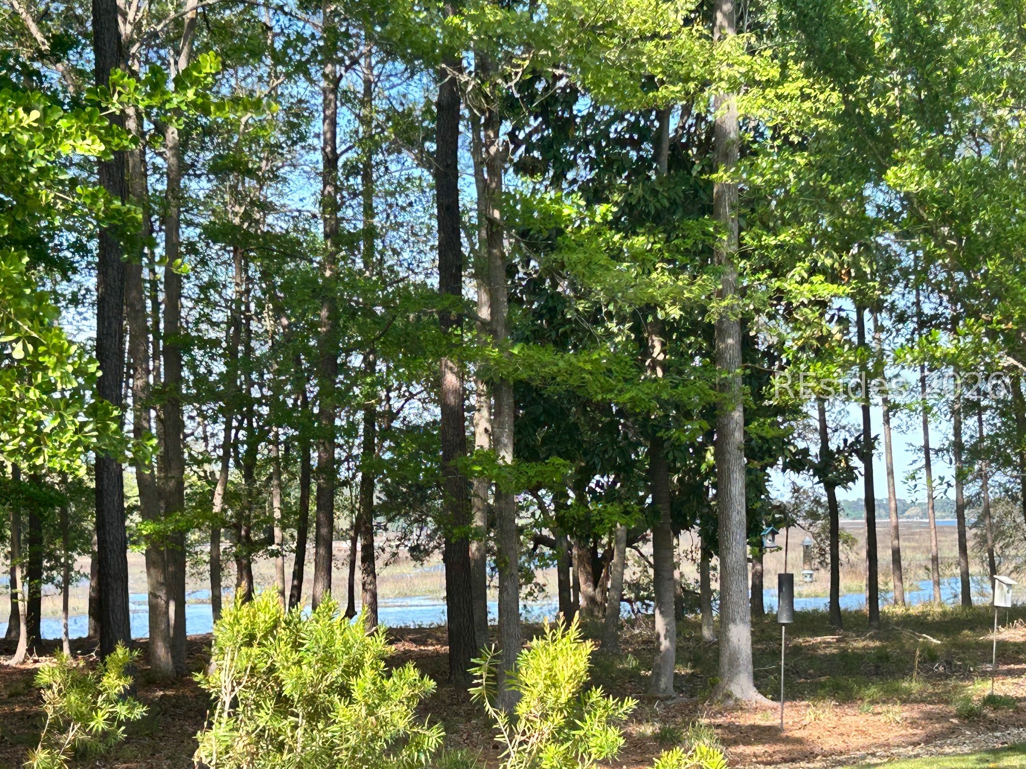 146 Cutter Circle Bluffton, SC 29909 - Photo 2 of 48