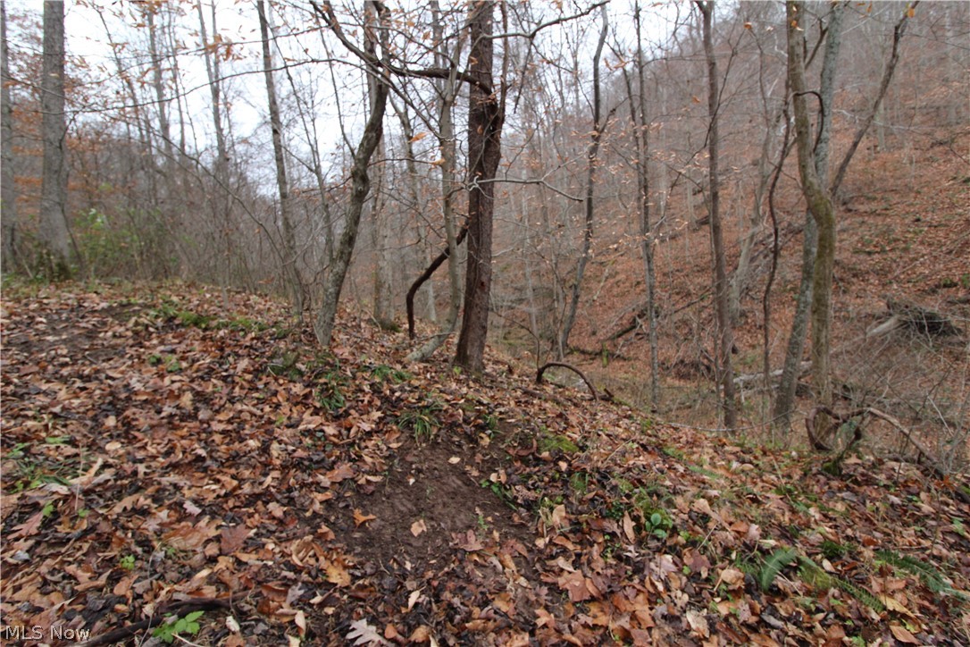 Wilson Run Road New Matamoras, OH 45767 - Photo 29 of 34 Gallery Image 29