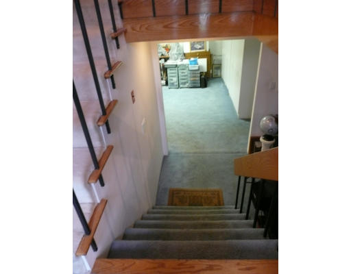 10 Donna Road Newton, MA 02459 - Photo 14 of 15 Gallery Image 14