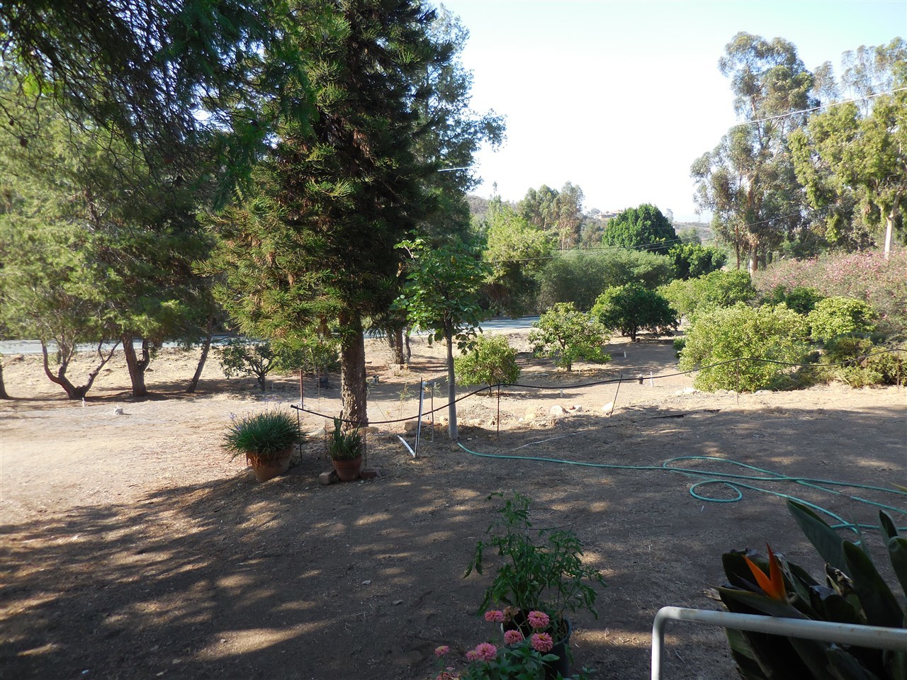 14940 Lyons Valley Road Jamul, CA 91935 - Photo 15 of 18