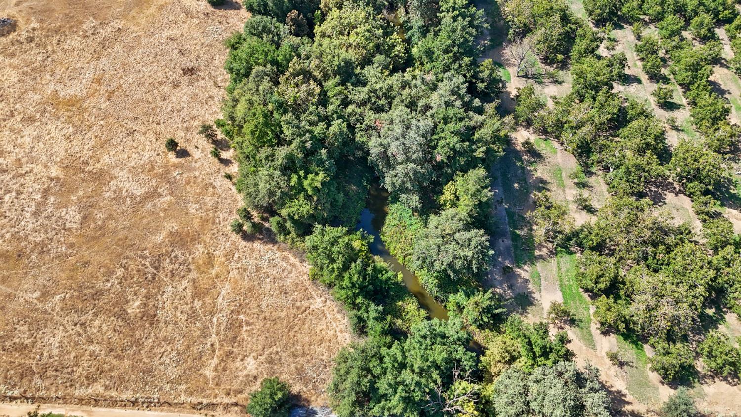 18651 East Messick Road Linden, CA 95236 - Photo 12 of 20 Gallery Image 12