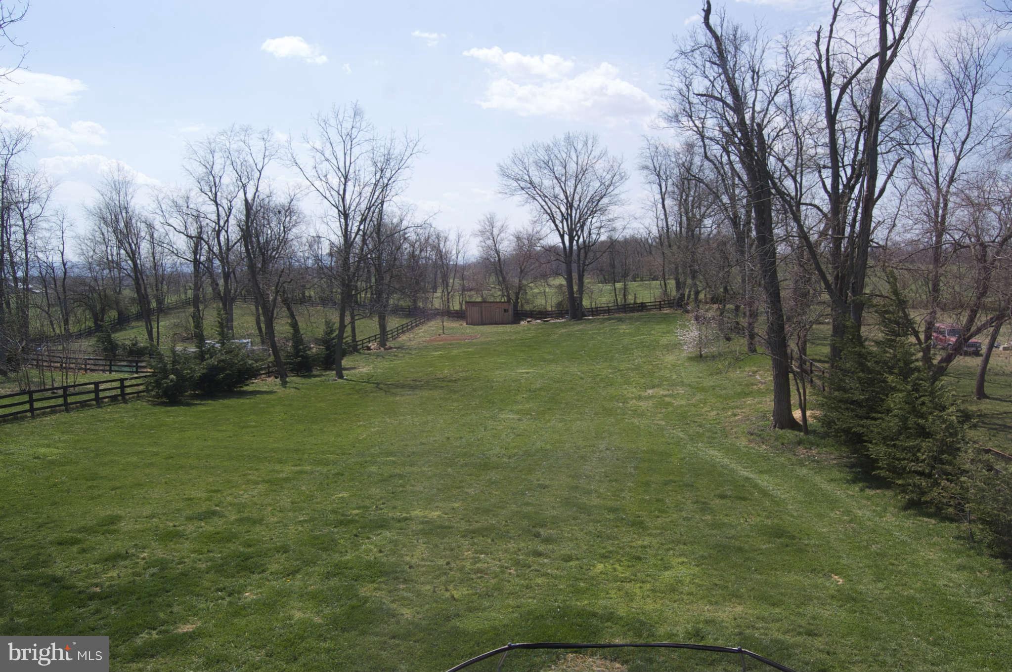 407 Stringtown Road Berryville, VA 22611 - Photo 3 of 30 a view of a field with trees