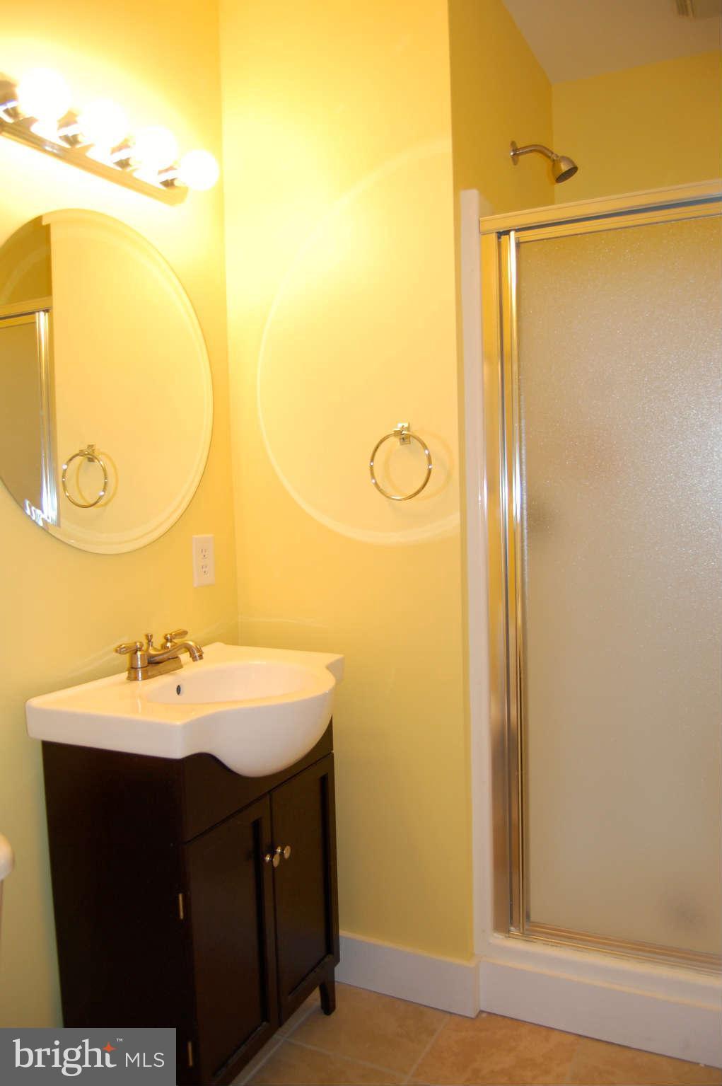407 Stringtown Road Berryville, VA 22611 - Photo 23 of 30 a bathroom with a sink vanity and a mirror