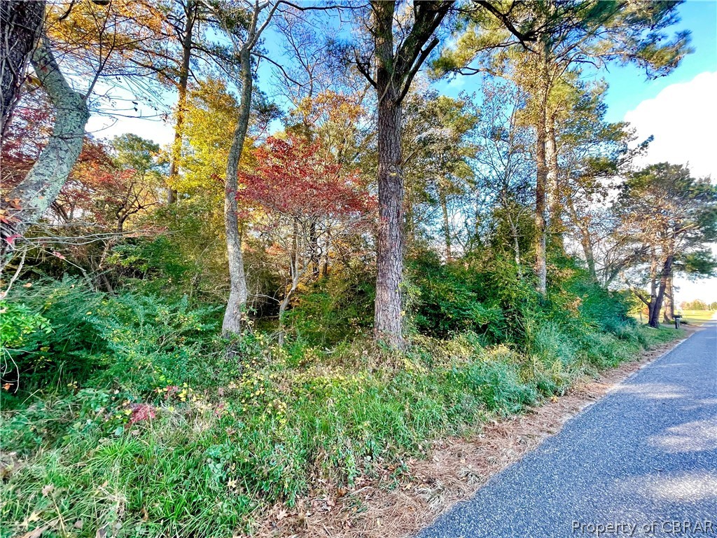 0 Mill Wharf Road Wake, VA 23176 - Photo 2 of 4