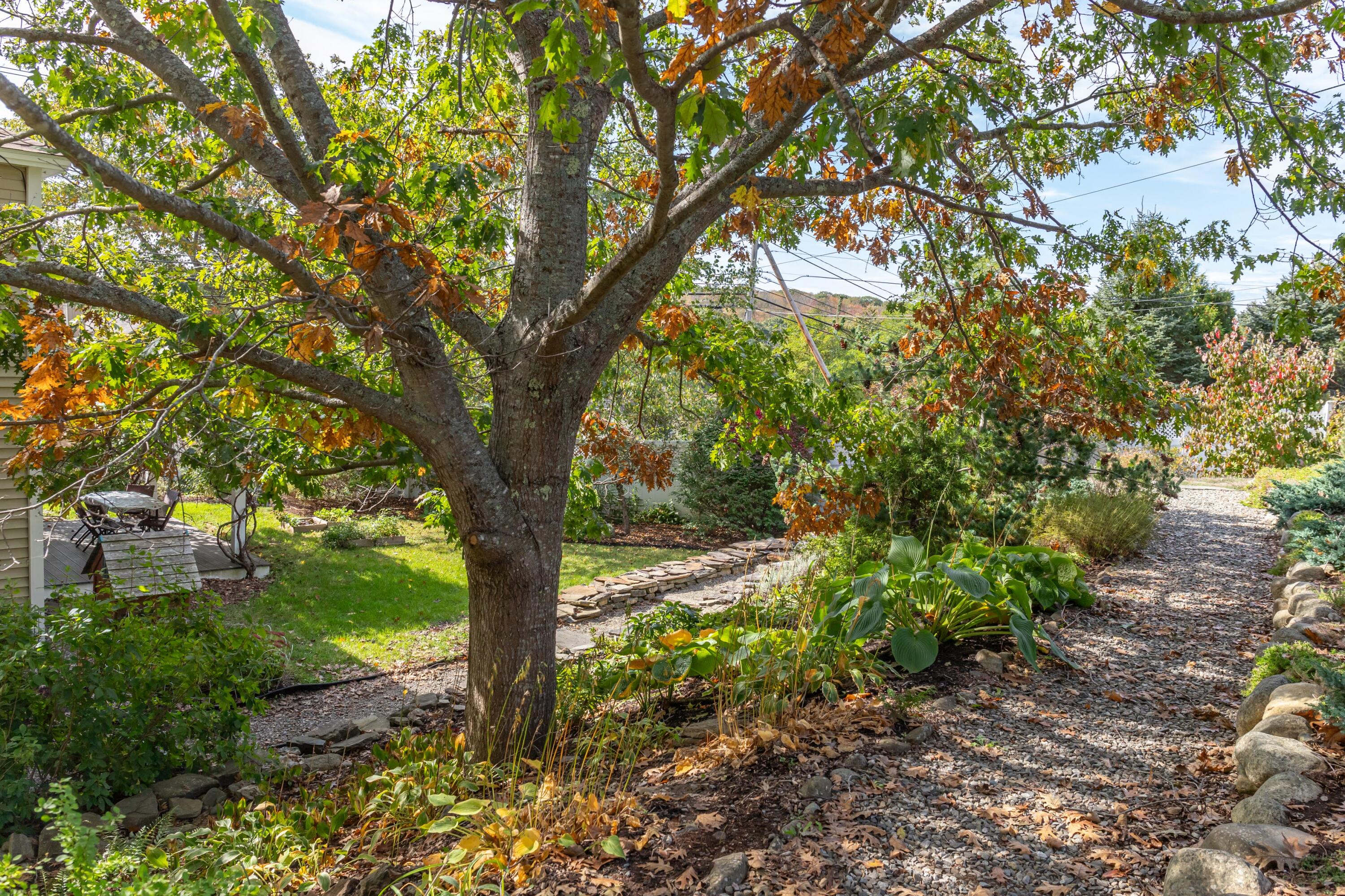 41 Robbins Road Belfast, ME 04915 - Photo 50 of 65 Pathways