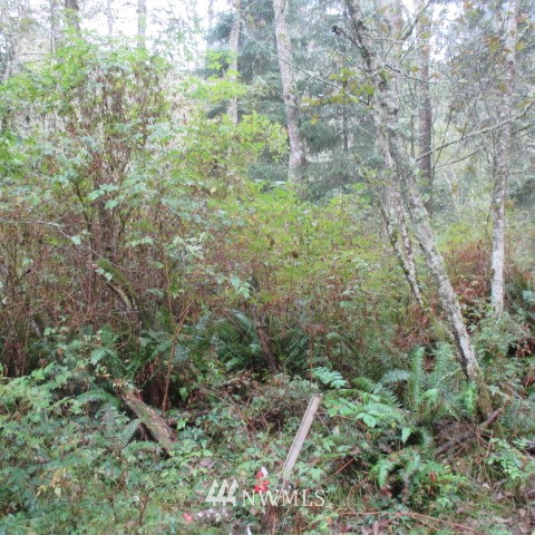 -xx Harmony Road Oak Harbor, WA 98277 - Photo 1 of 19 Gallery Image 1