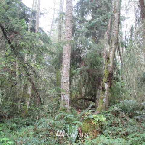 -xx Harmony Road Oak Harbor, WA 98277 - Photo 11 of 19 Gallery Image 11