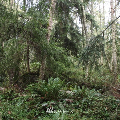-xx Harmony Road Oak Harbor, WA 98277 - Photo 12 of 19 Gallery Image 12