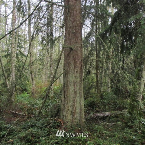 -xx Harmony Road Oak Harbor, WA 98277 - Photo 13 of 19 Gallery Image 13