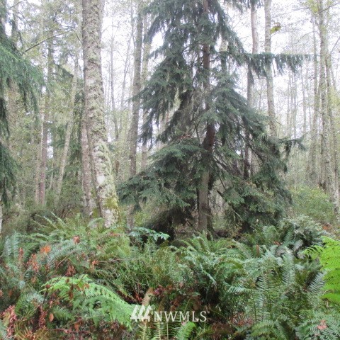 -xx Harmony Road Oak Harbor, WA 98277 - Photo 14 of 19 Gallery Image 14
