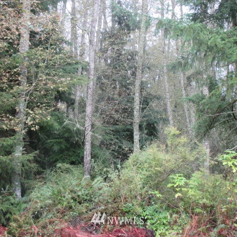 -xx Harmony Road Oak Harbor, WA 98277 - Photo 15 of 19 Gallery Image 15
