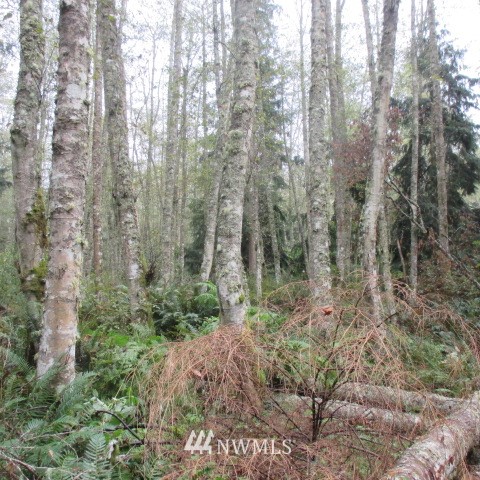 -xx Harmony Road Oak Harbor, WA 98277 - Photo 16 of 19 Gallery Image 16