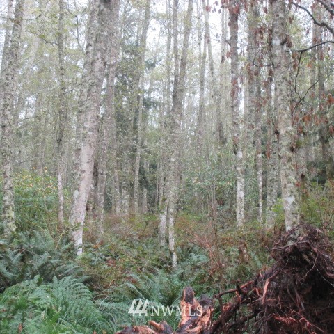 -xx Harmony Road Oak Harbor, WA 98277 - Photo 17 of 19 Gallery Image 17