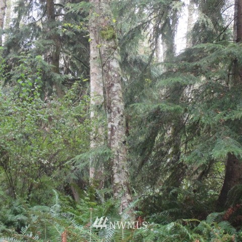 -xx Harmony Road Oak Harbor, WA 98277 - Photo 18 of 19 Gallery Image 18
