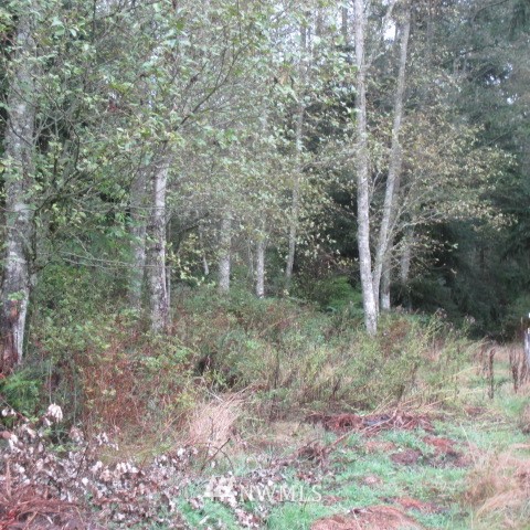 -xx Harmony Road Oak Harbor, WA 98277 - Photo 19 of 19 Gallery Image 19