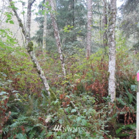 -xx Harmony Road Oak Harbor, WA 98277 - Photo 3 of 19 Gallery Image 3