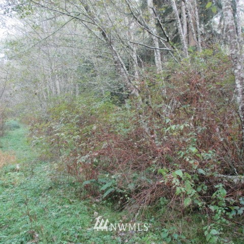 -xx Harmony Road Oak Harbor, WA 98277 - Photo 4 of 19 Gallery Image 4