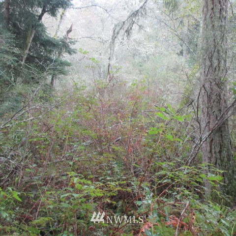 -xx Harmony Road Oak Harbor, WA 98277 - Photo 5 of 19 Gallery Image 5