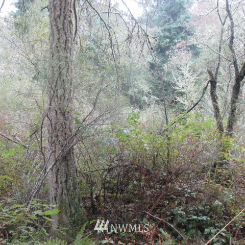 -xx Harmony Road Oak Harbor, WA 98277 - Photo 6 of 19 Gallery Image 6