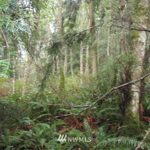 -xx Harmony Road Oak Harbor, WA 98277 - Photo 8 of 19 Gallery Image 8