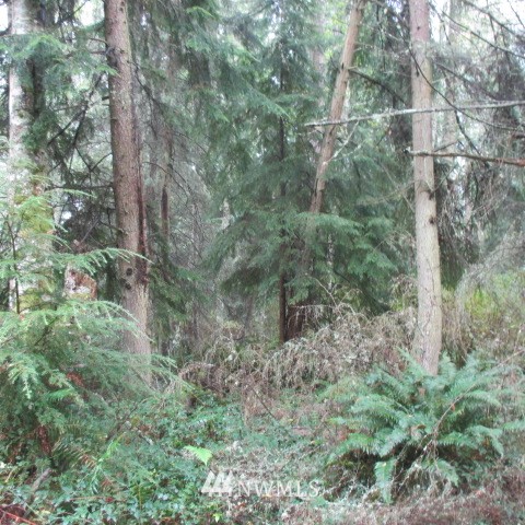 -xx Harmony Road Oak Harbor, WA 98277 - Photo 9 of 19 Gallery Image 9