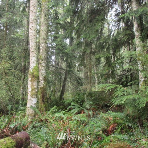 -xx Harmony Road Oak Harbor, WA 98277 - Photo 10 of 19 Gallery Image 10