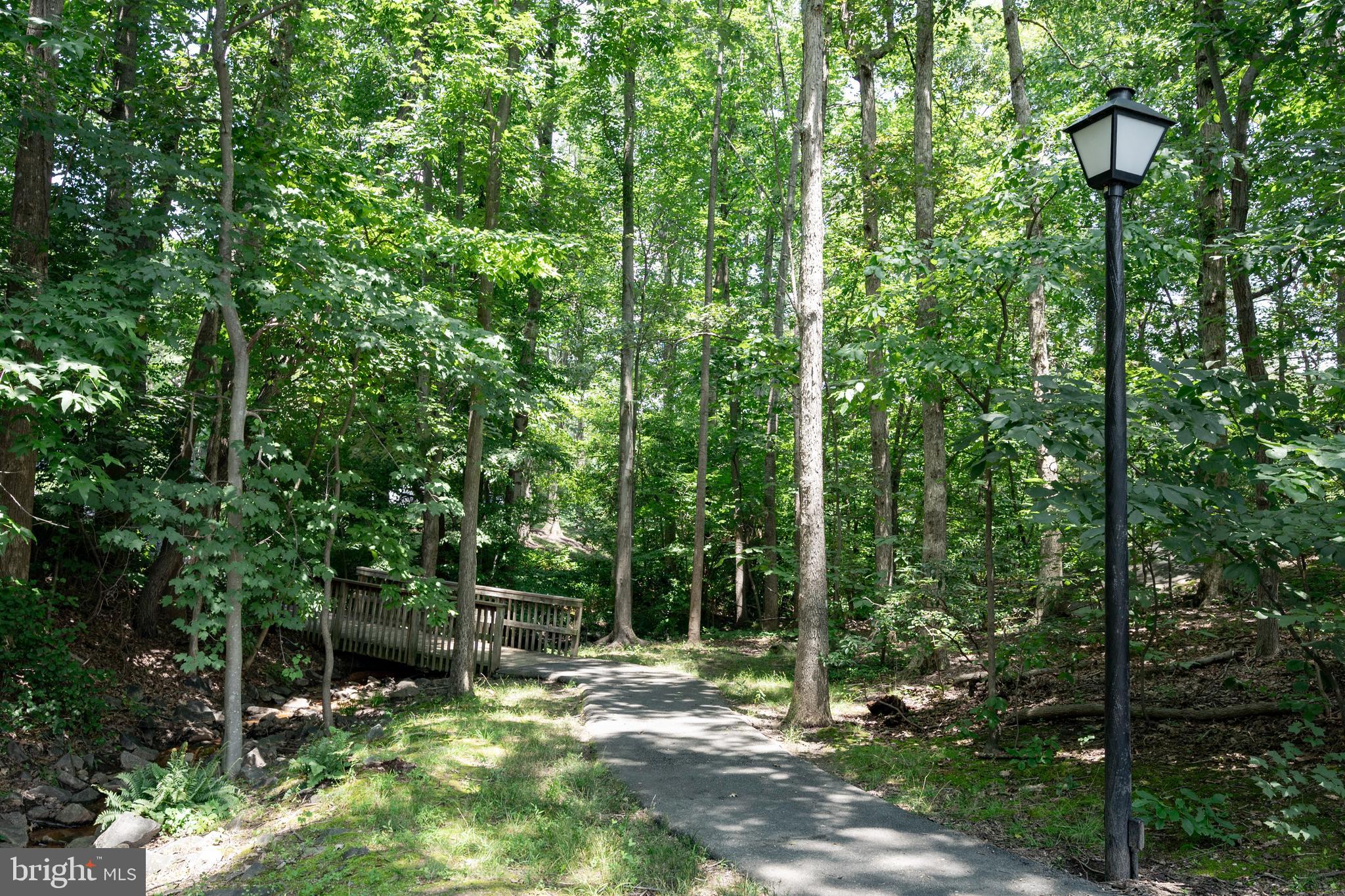 6909 Trillium Lane Springfield, VA 22152 - Photo 25 of 36 a backyard of a house with lots of trees
