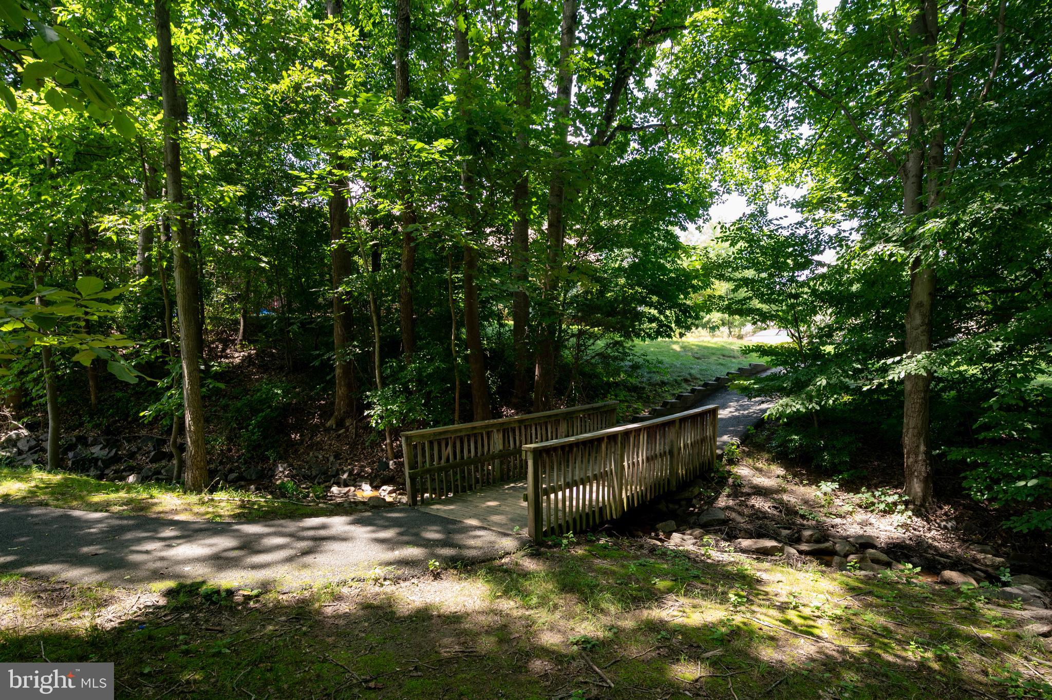 6909 Trillium Lane Springfield, VA 22152 - Photo 26 of 36 a view of backyard with green space