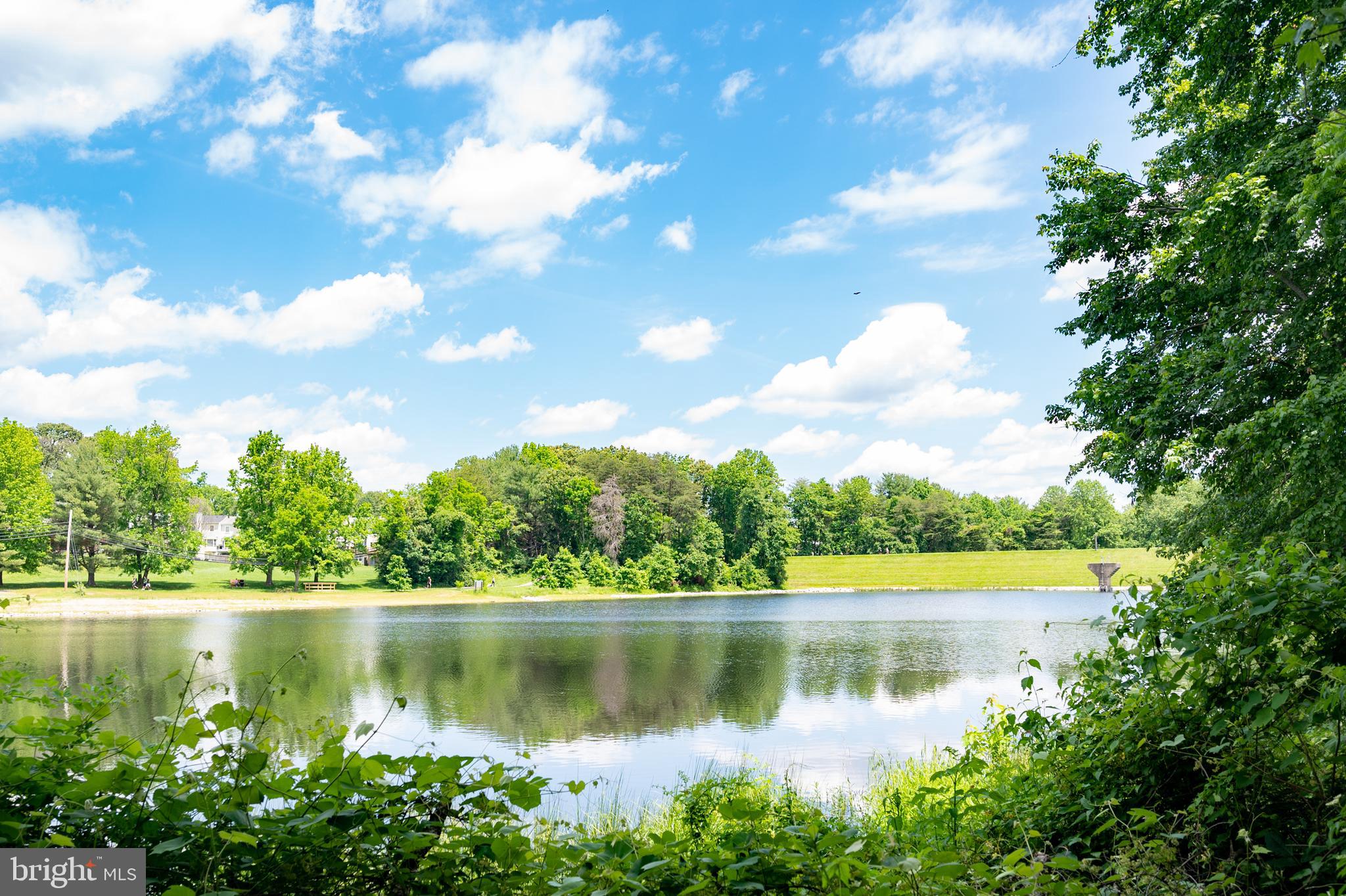 6909 Trillium Lane Springfield, VA 22152 - Photo 29 of 36 a view of lake with green space