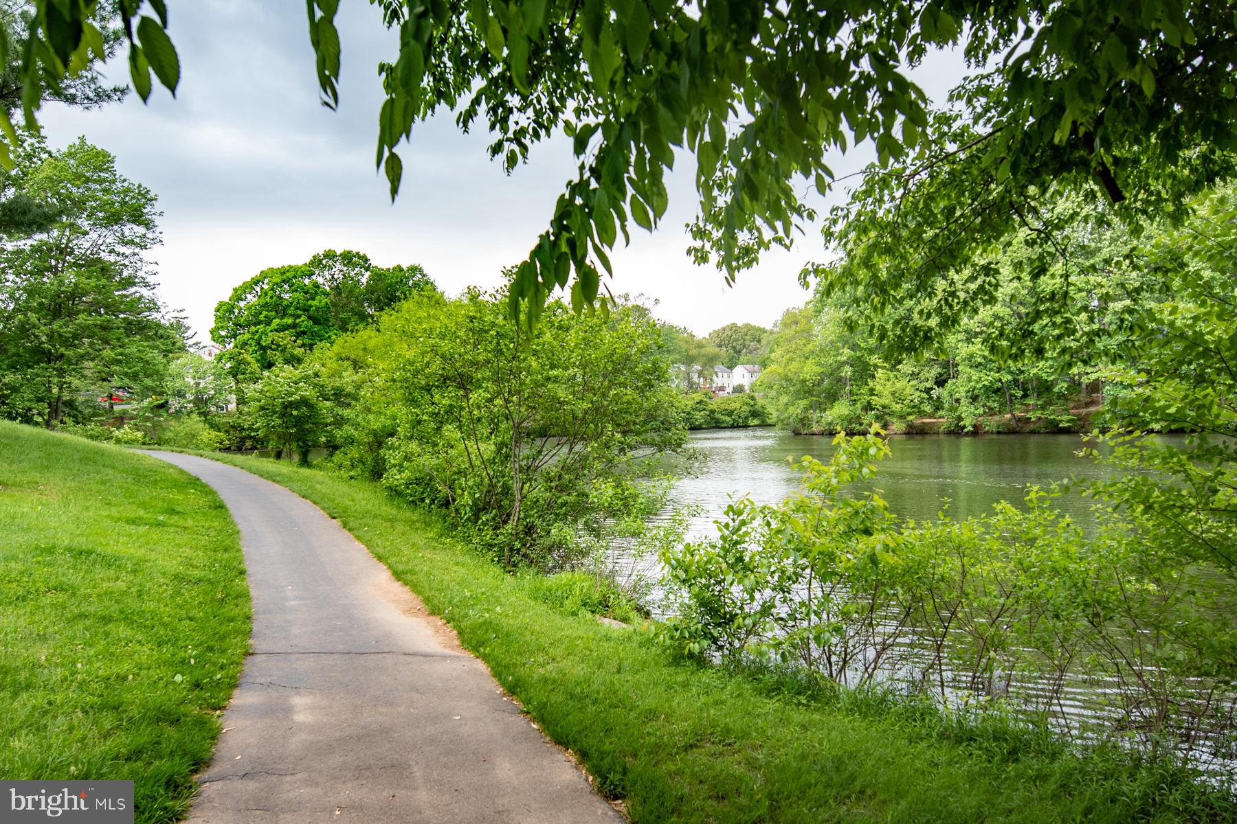 6909 Trillium Lane Springfield, VA 22152 - Photo 30 of 36 a view of a lake with a garden